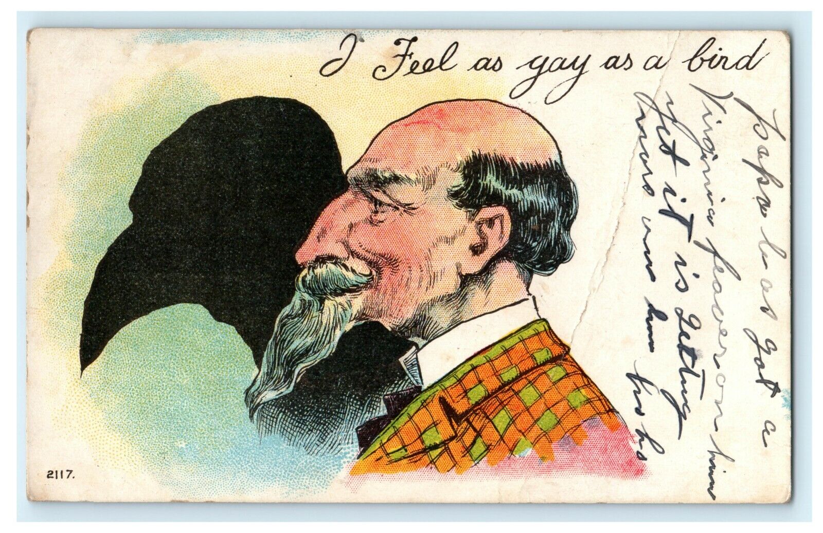 I Feel As Gay As A Bird - 1909 Rare Comic Goatee Beard Strange Antique Postcard