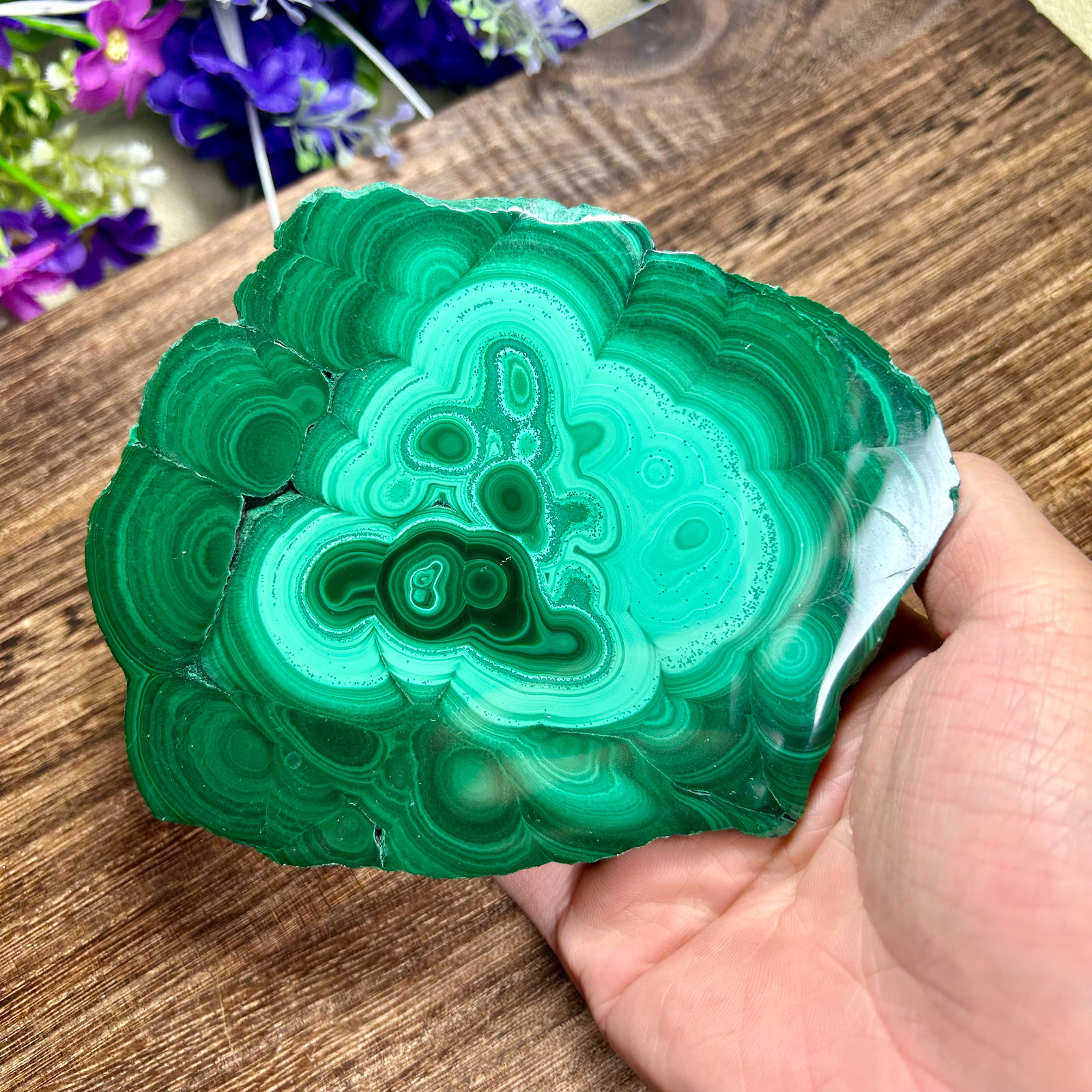 680g Amazing Green malachite Quartz Crystal slice mineral specimen healing 3th