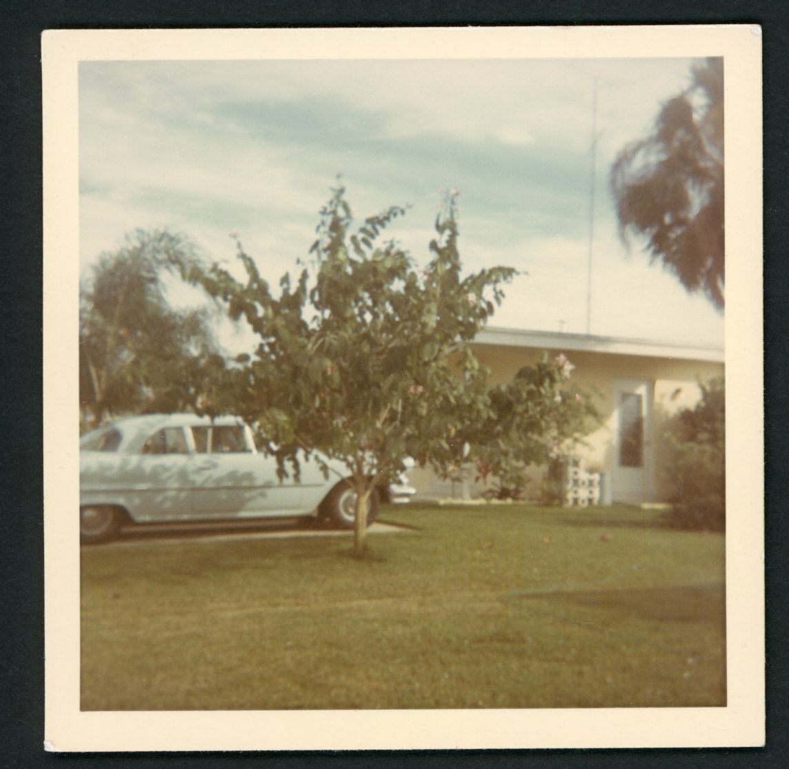 Ugly Suburban House Car Tree Green Grass Yard Photo Snapshot 1960s Americana