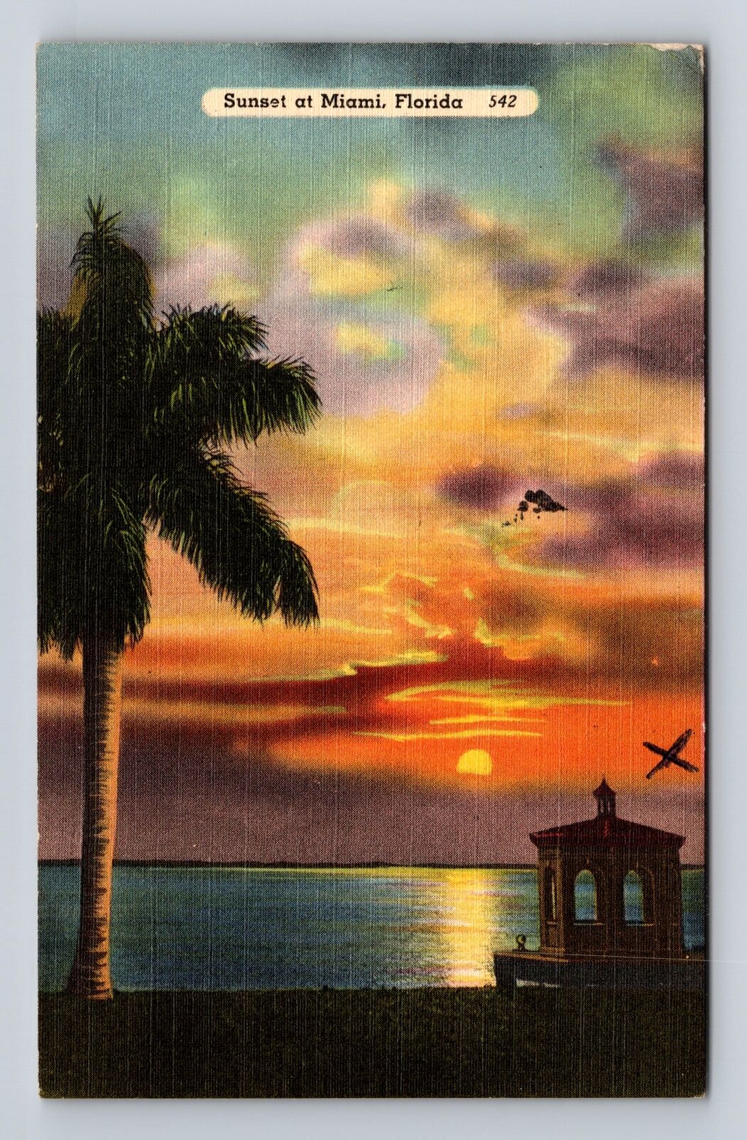 Miami FL-Florida, Palm At Sunset, Antique, Vintage Souvenir Postcard