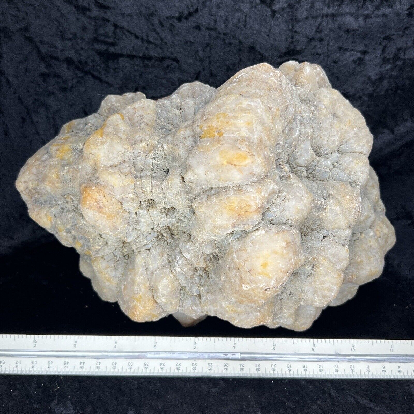 10” Huge Unopened GEODE 19Lb Geodized Fossil Quartz Crystal Chalcedony Lapidary