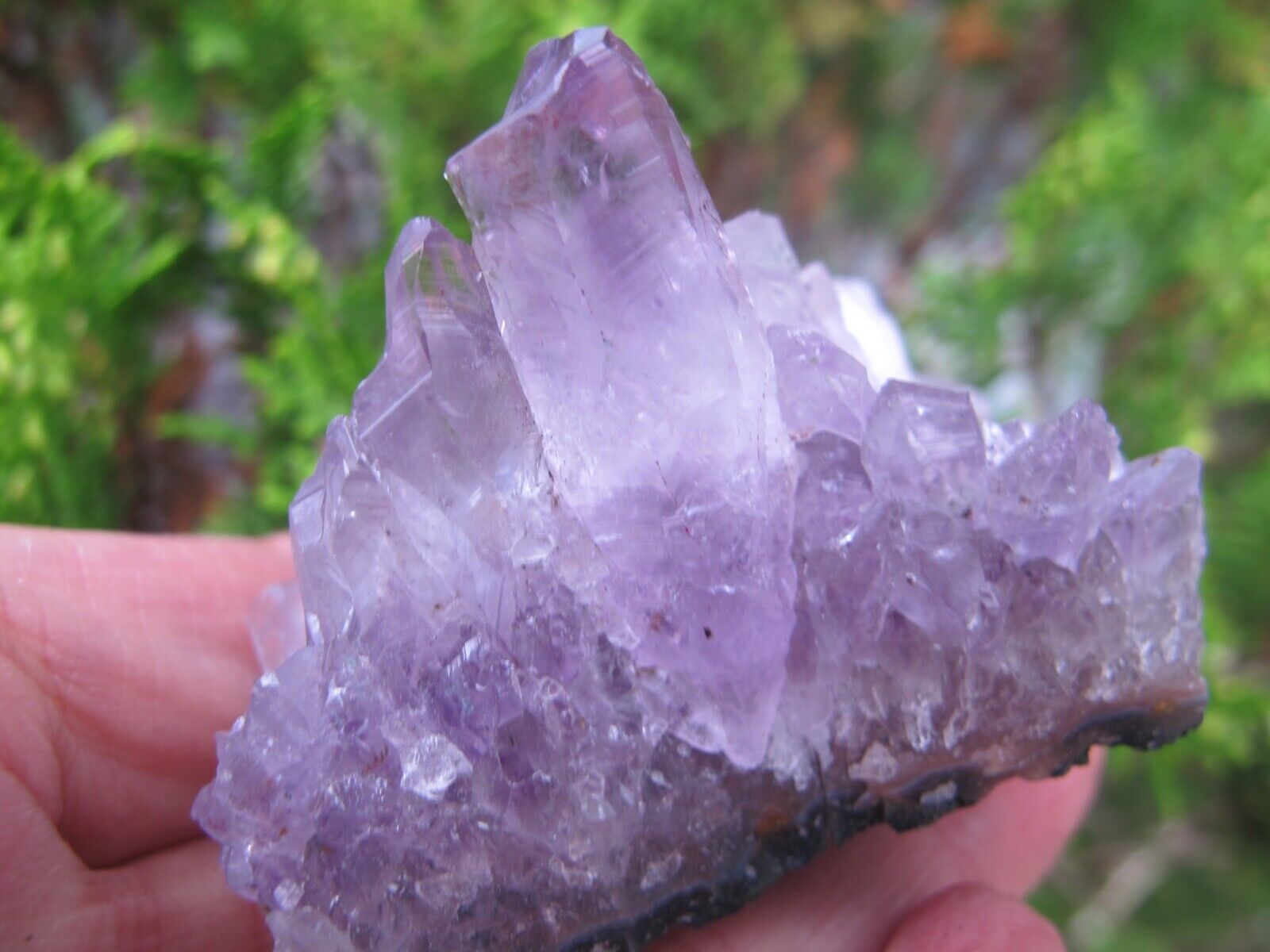Amethyst Crystal Healing Natural purple specimen intuition Immune System 106g
