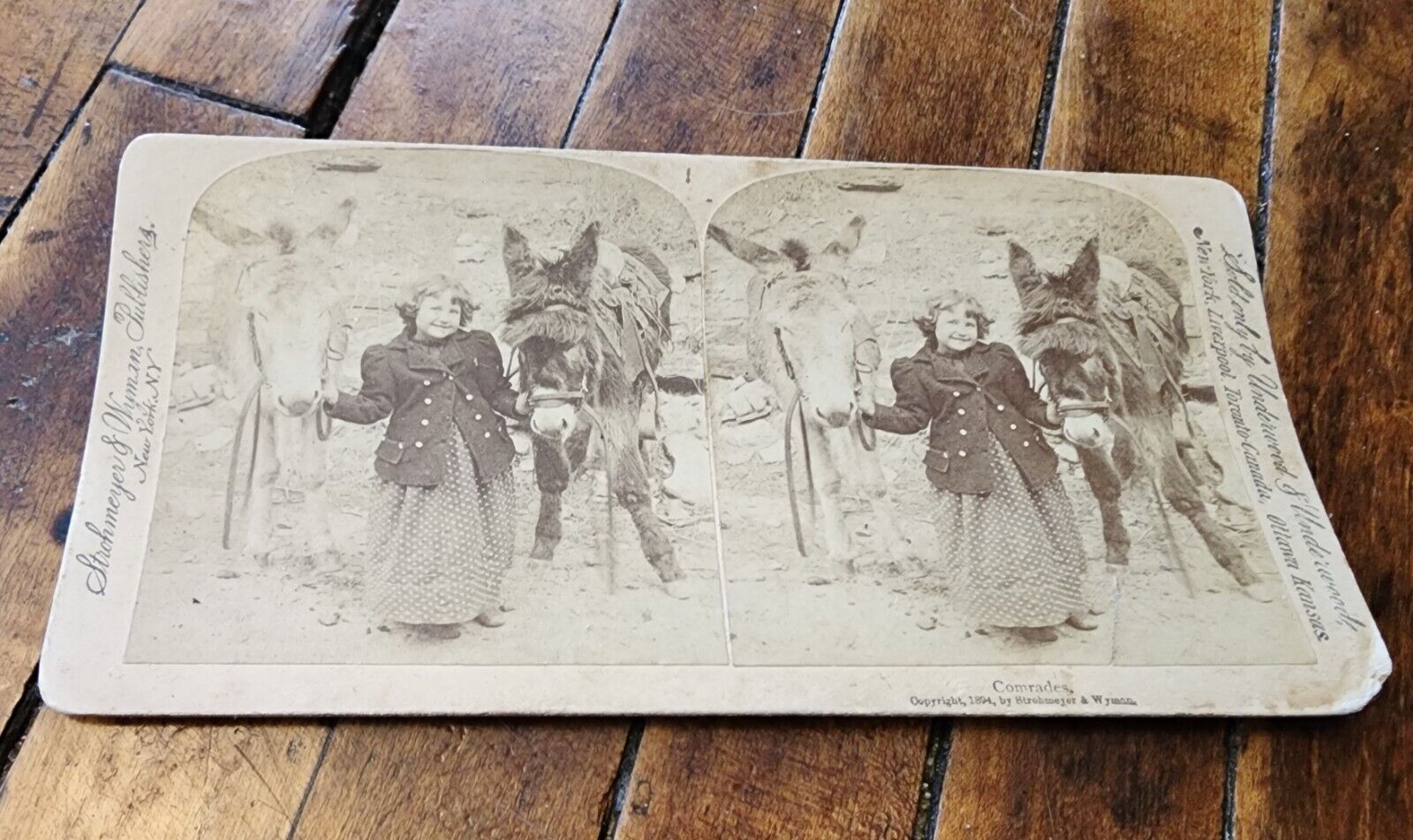 1894 Antique Underwood Stereoview Card Comrades Girl with Donkeys