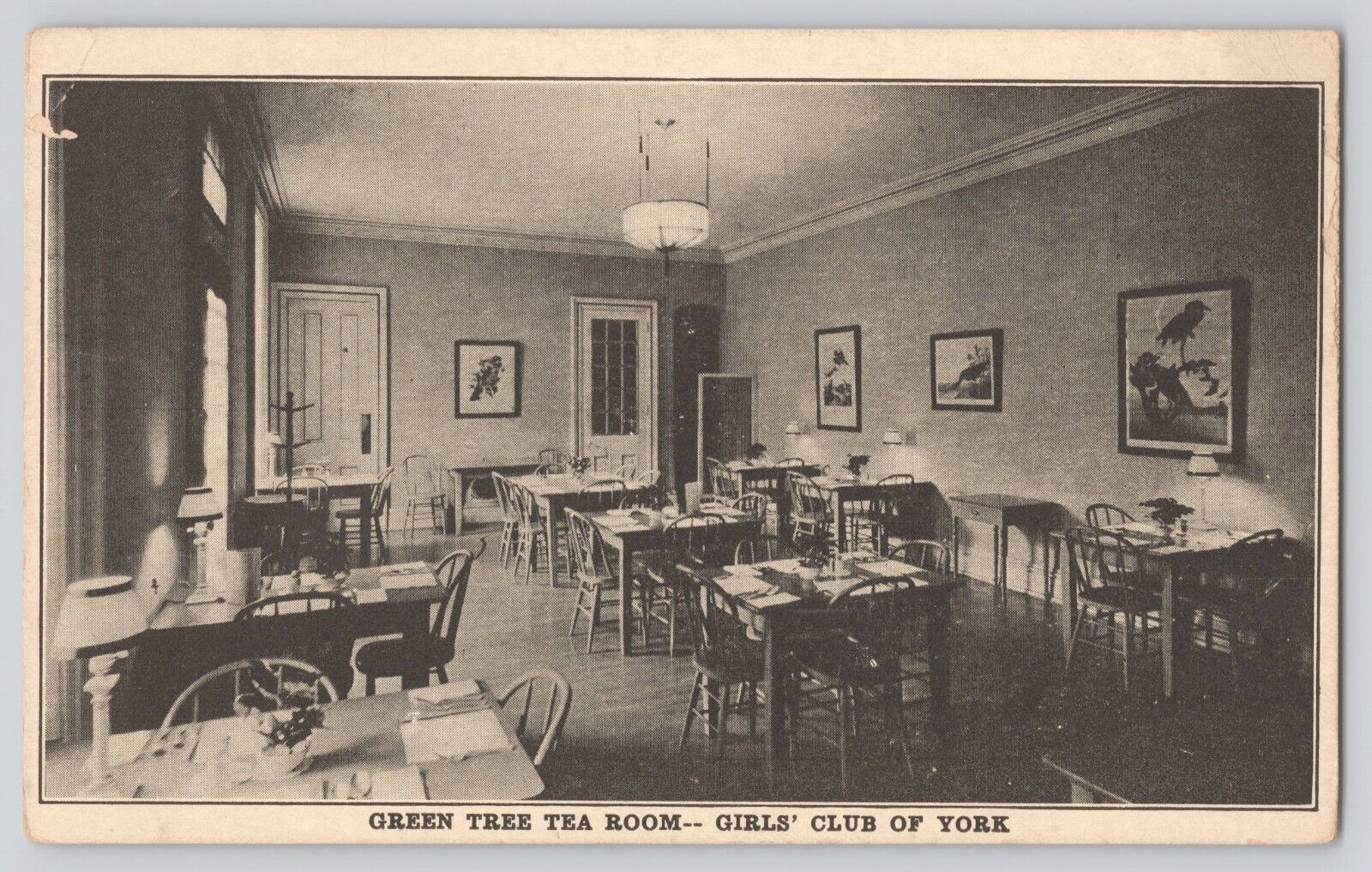 Postcard PA York Girls\' Club Green Tea Room Suffragette 1916 Extremely Scarce