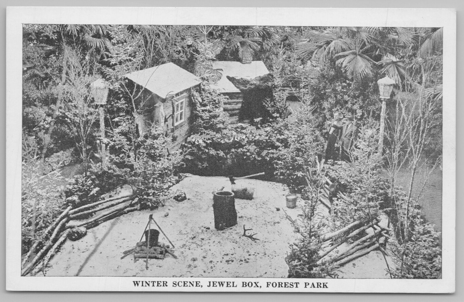 St Louis Missouri~Winter Scene~Jewel Box~Forest Park~Worm Fence~Vintage PC