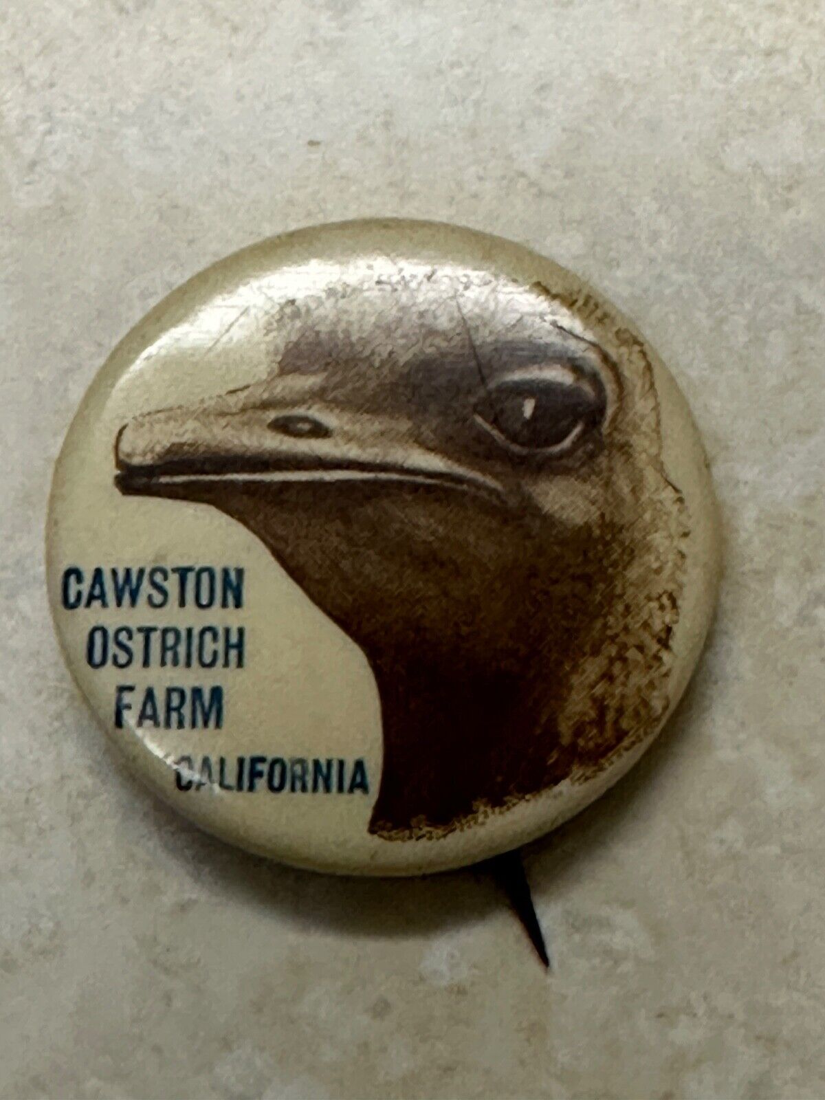 1896 Cawston Ostrich Farm California Pinback