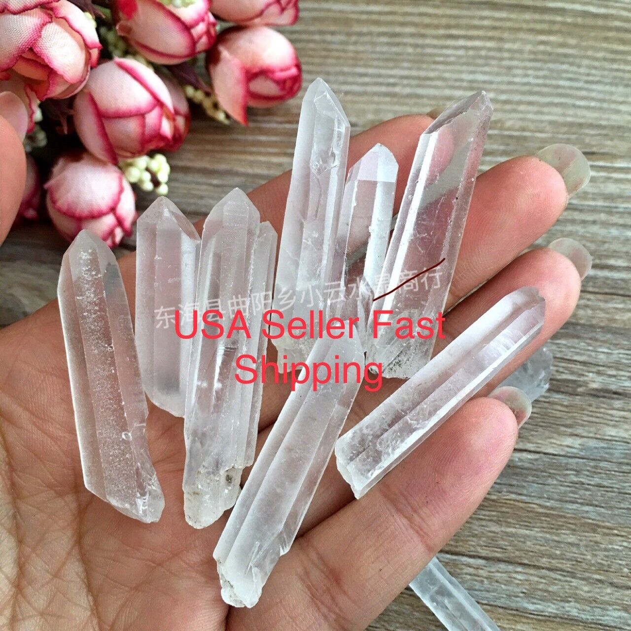1/2LB Tibet small Lot Natural Clear Quartz Crystal Points Specimen US Seller