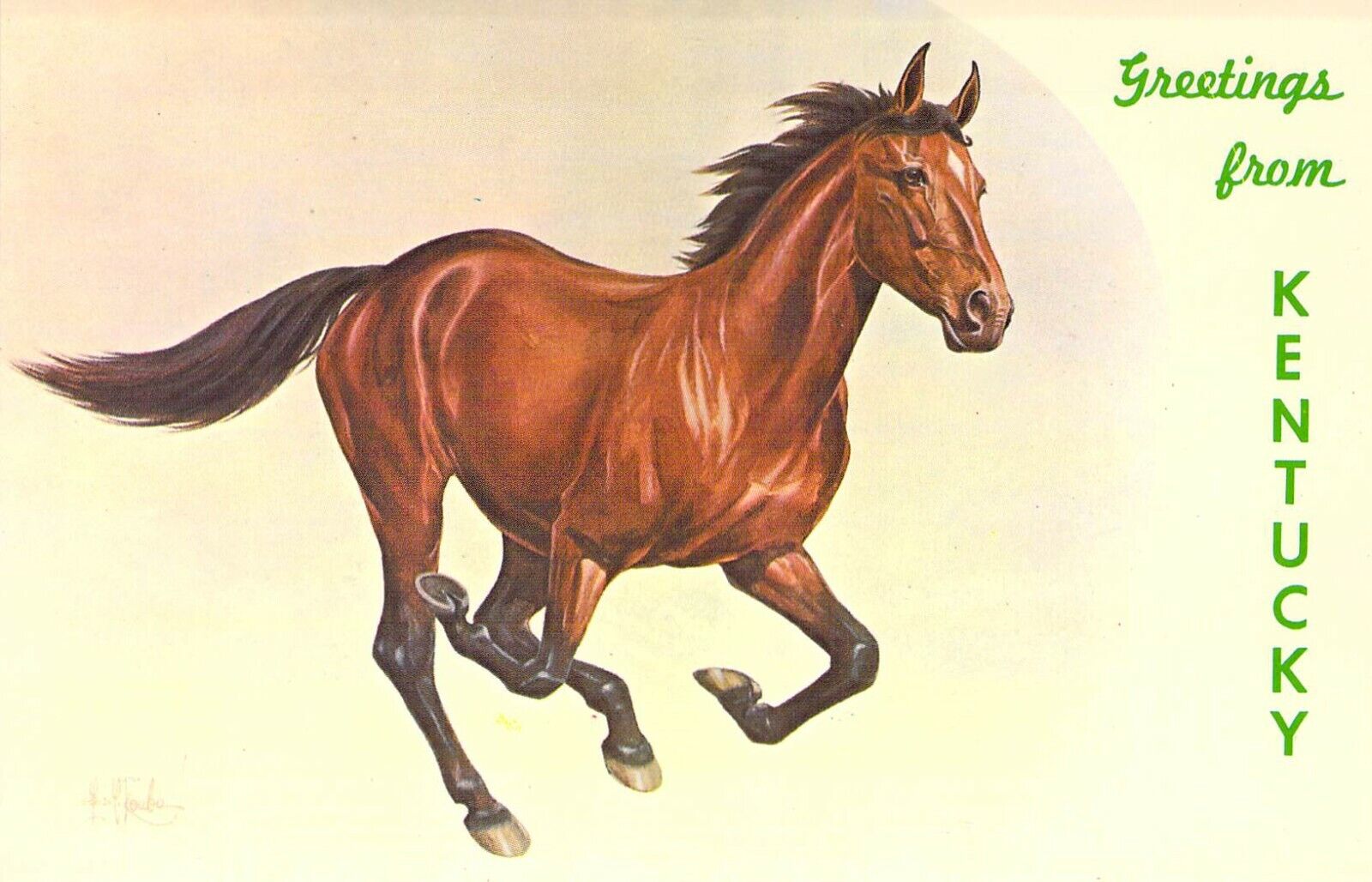 1968 Greetings from Kentucky HORSE RUNNING Artist Signed postcard C54