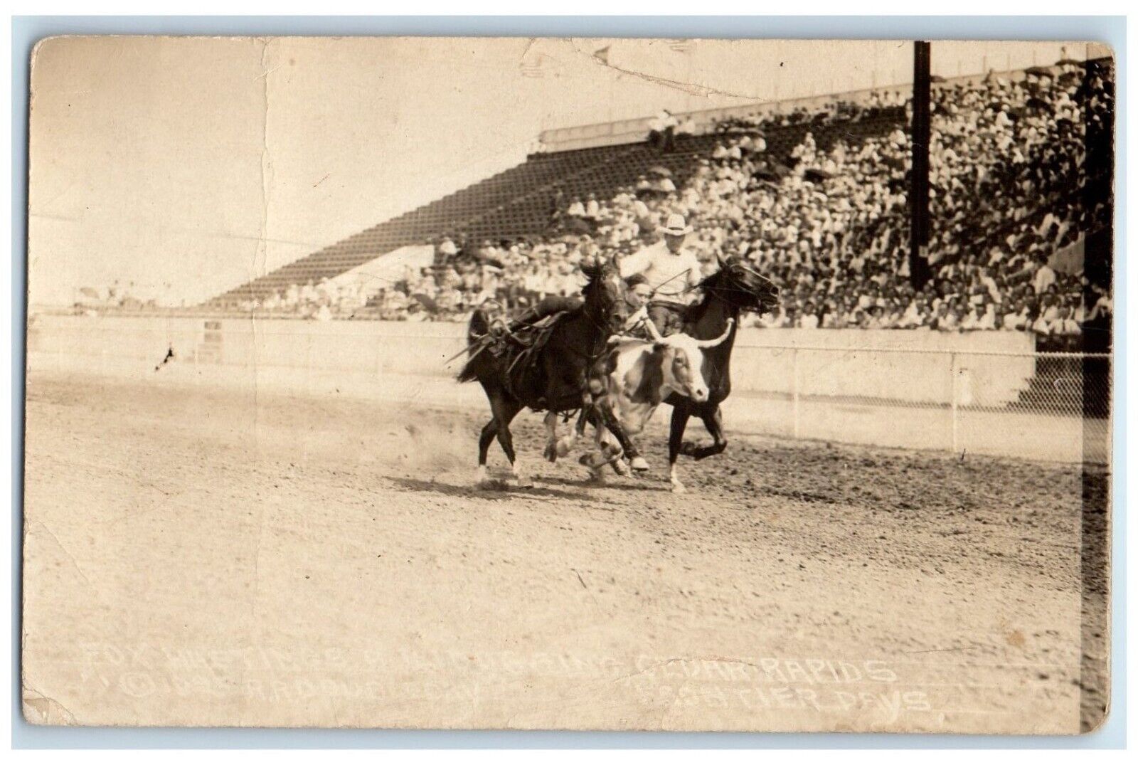 c1910's Frontier Days Rodeo Fox Hastings Cheyenne Wyoming WY RPPC Photo Postcard