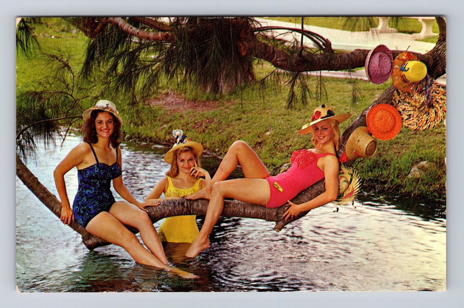 Weeki Wachee FL-Florida, Weeki Wachee Mermaids, Antique, Vintage Postcard