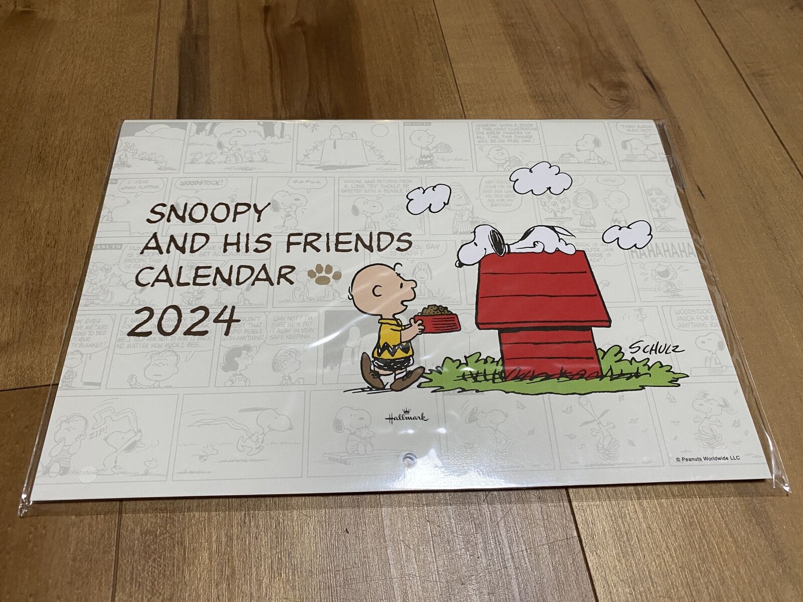 Japan Hallmark Snoopy 2024 Calendar Wall Hanging Small Peanuts 824-273