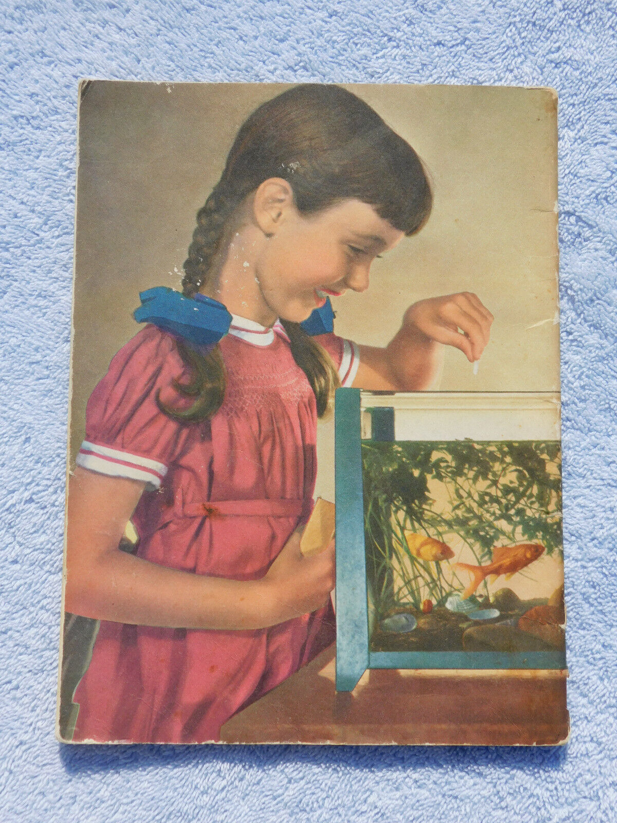 Vintage Basic Science Education Series Booklet - An Aquarium - 1957 