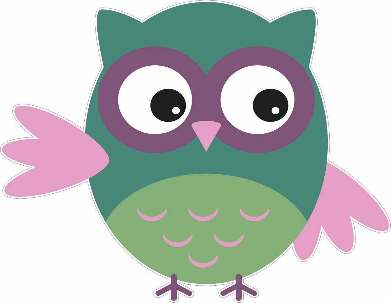 4inx5in Green And Pink Owl Owls Bumper Sticker Decal Vinyl Stickers Decals