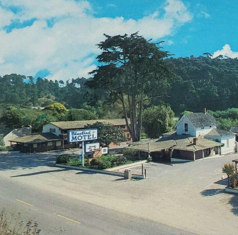 Cambria California Bluebird Motel Birdseye c1983 Main Street Scene Postcard C360
