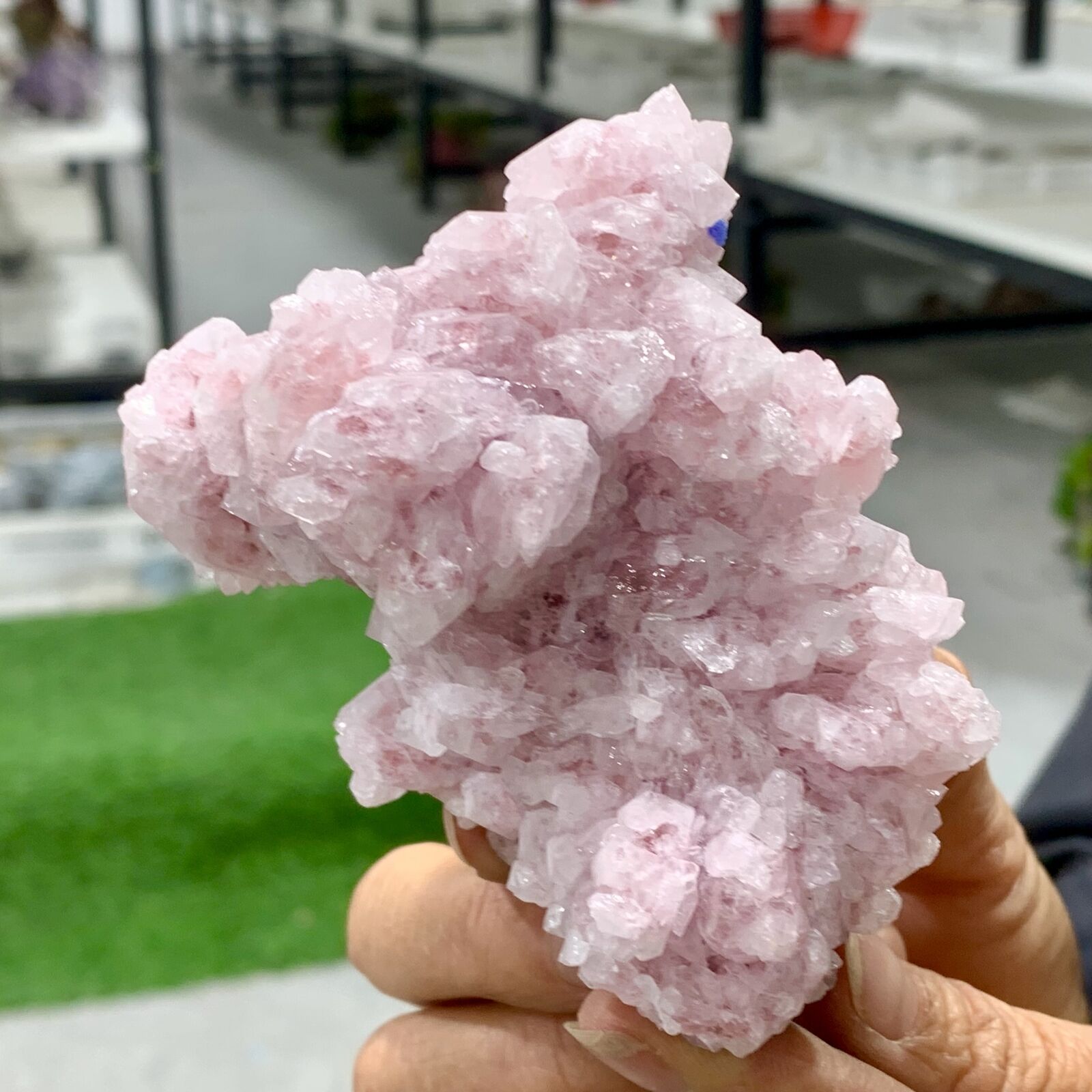 311G Beautiful green strawberry quartz crystal cluster mineral specimen healing