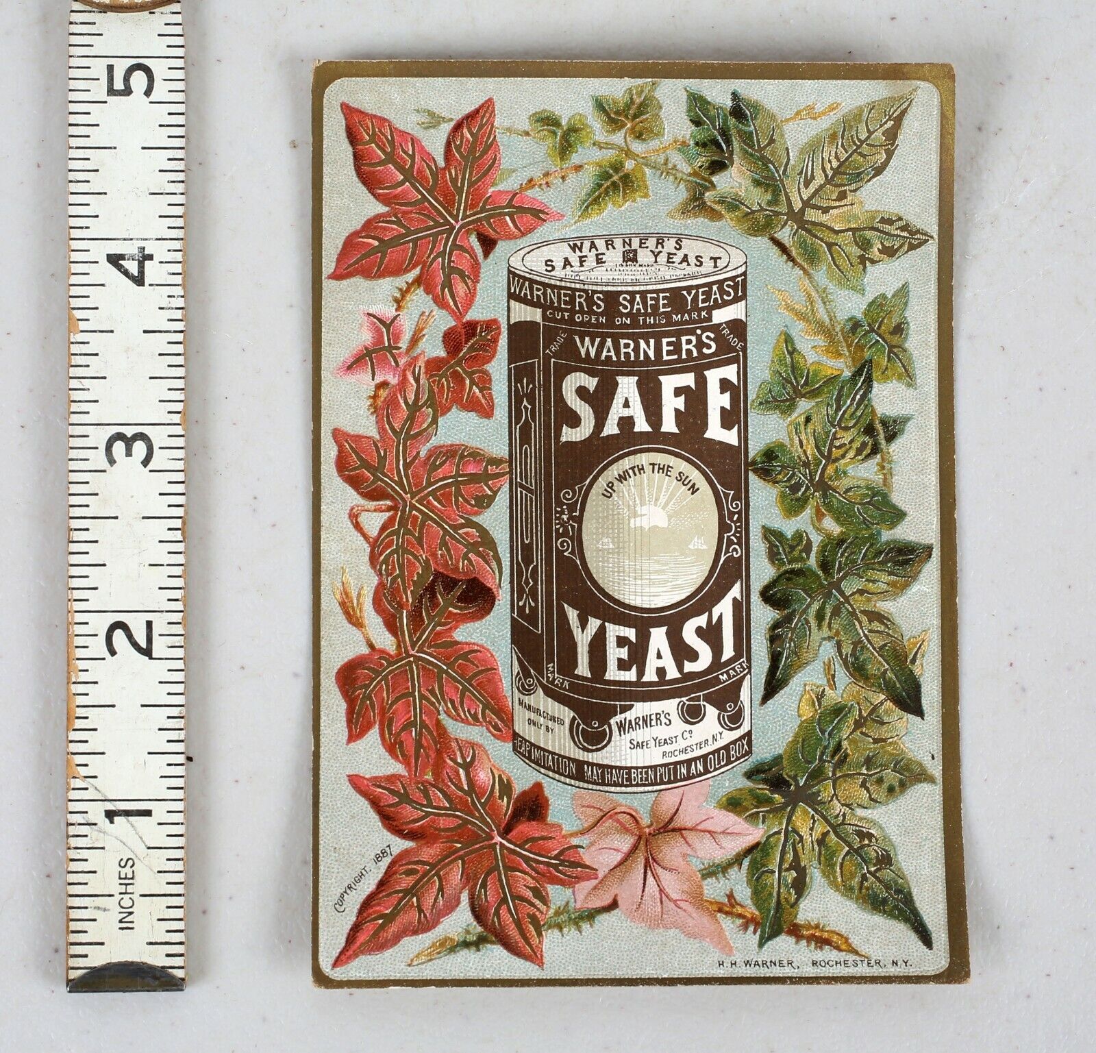 Original Victorian Trade Card Warner\'s Safe Yeast  Rochester New York  