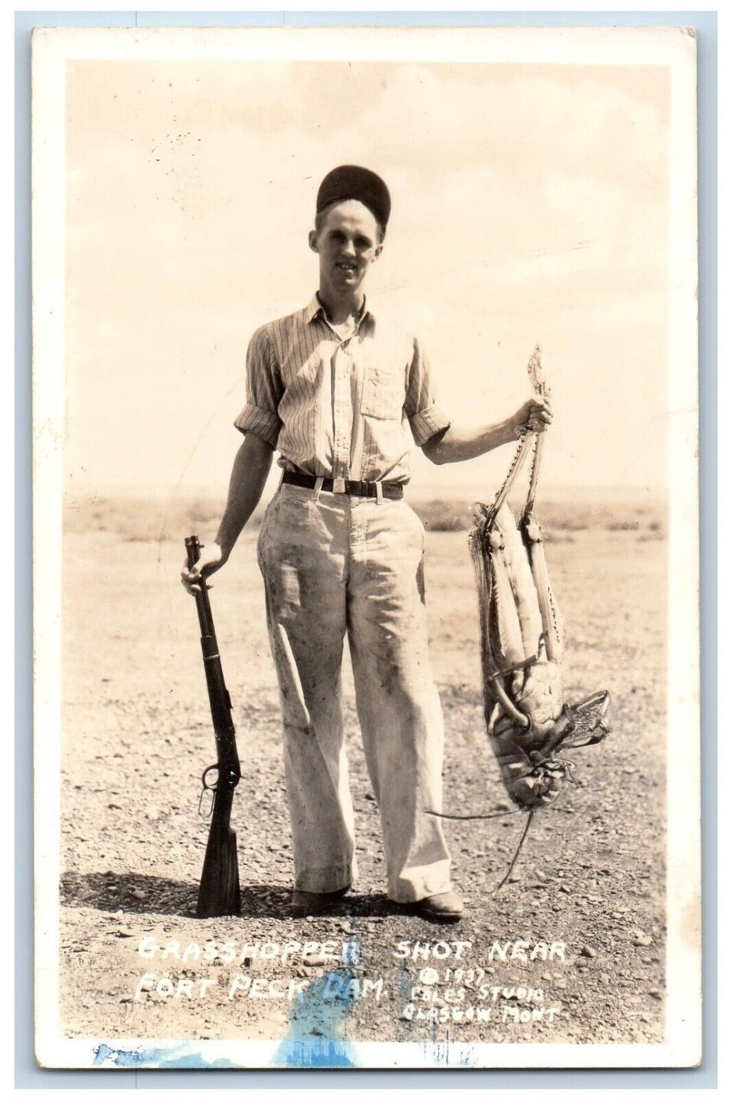 Glasgow Montana MT Postcard RPPC Photo Man Grasshopper Shot Fort Deck Dam c1940s