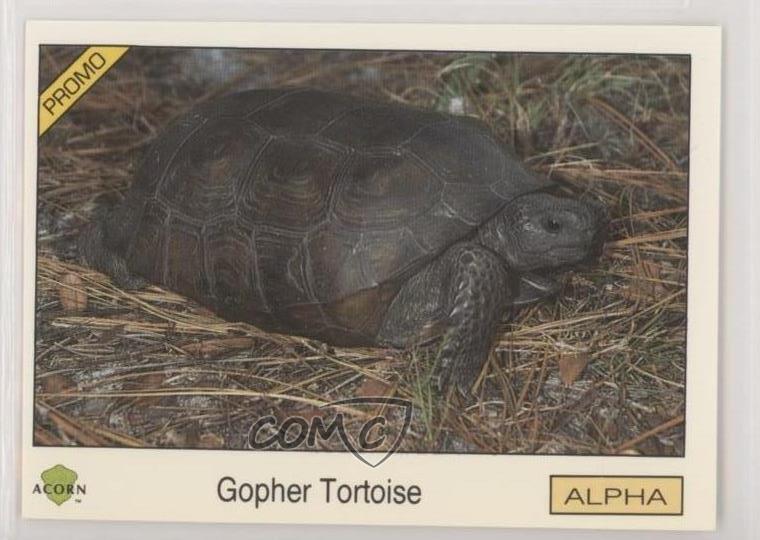 1991 Acorn Biosphere Promo Set Gopher Tortoise #5 0kb5