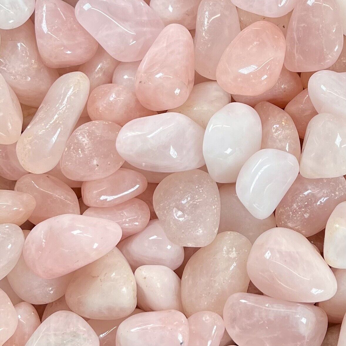 1lb JUMBO Bulk Rose Quartz Lot - Tumbled Stones - Healing And Reiki Crystals