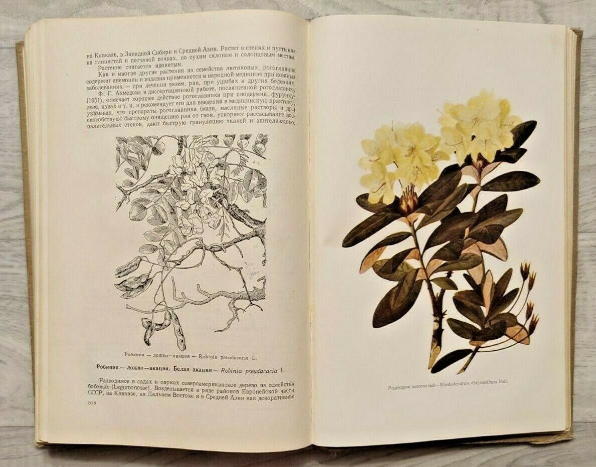 1958 Medicinal plants USSR Herbal Treatment Botanical Phytotherapy Russian book