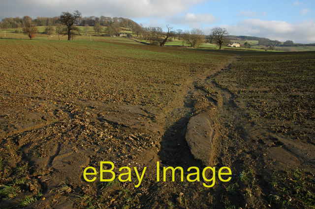 Photo 6x4 Soil erosion at Sudeley Rain water has washed the soil off this c2008