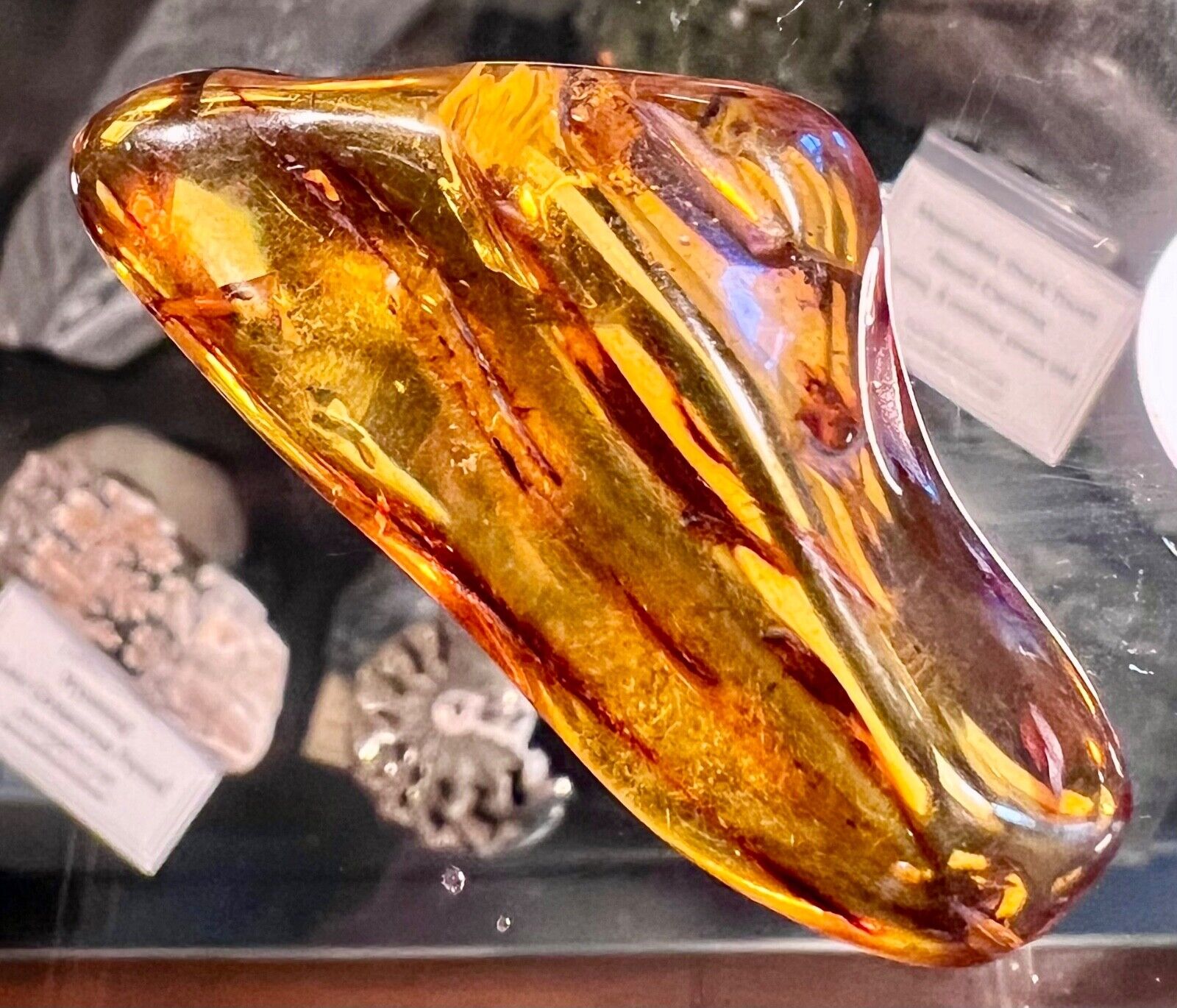 Baltic Amber polished freeform 9g Natural UV reactive fossilized tree resin.