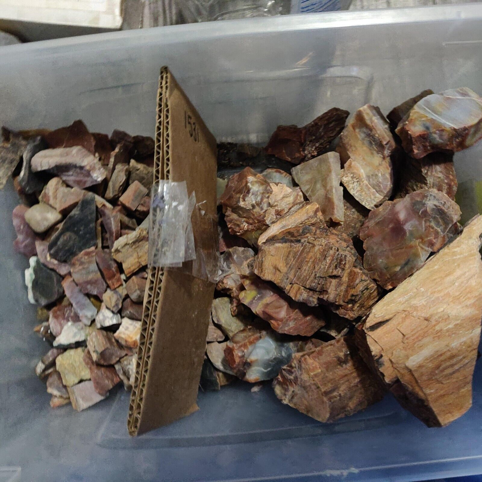 Petrified Wood by the Box| Arizona Rainbow, Great for Tumbling Collecting