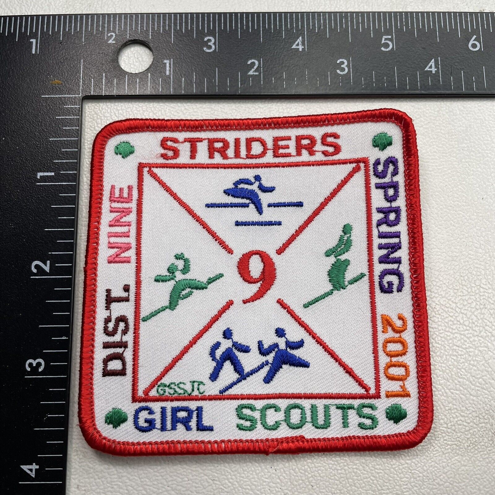 2001 Girl Scouts San Jacinto Council District Nine Striders Patch GSSJC 20R3
