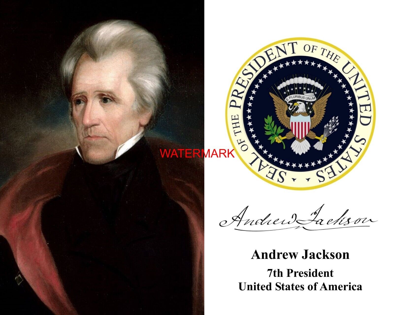 President Andrew Jackson Presidential Seal 8 x 10 Photo Portrait Photograph td1