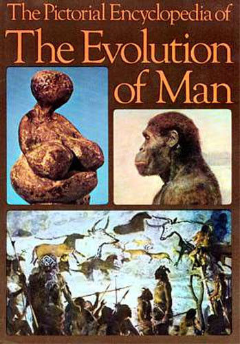Evolution Man Picture Encyclopedia Neanderthal Boisei Habilis Australopithecus