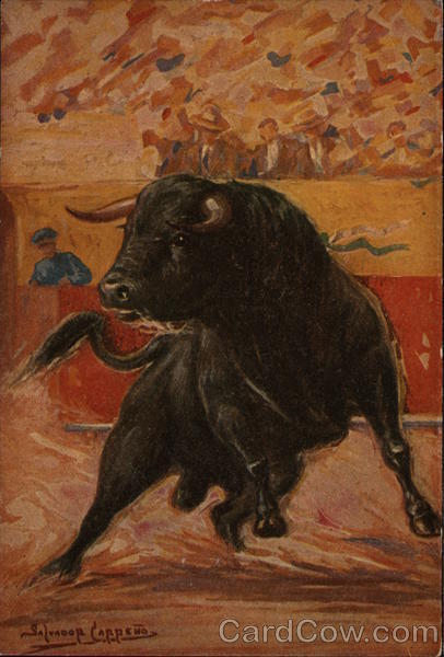 Mexico Nogales,SO Bullfight Sonora Salvador Cappeno Postcard Vintage Post Card