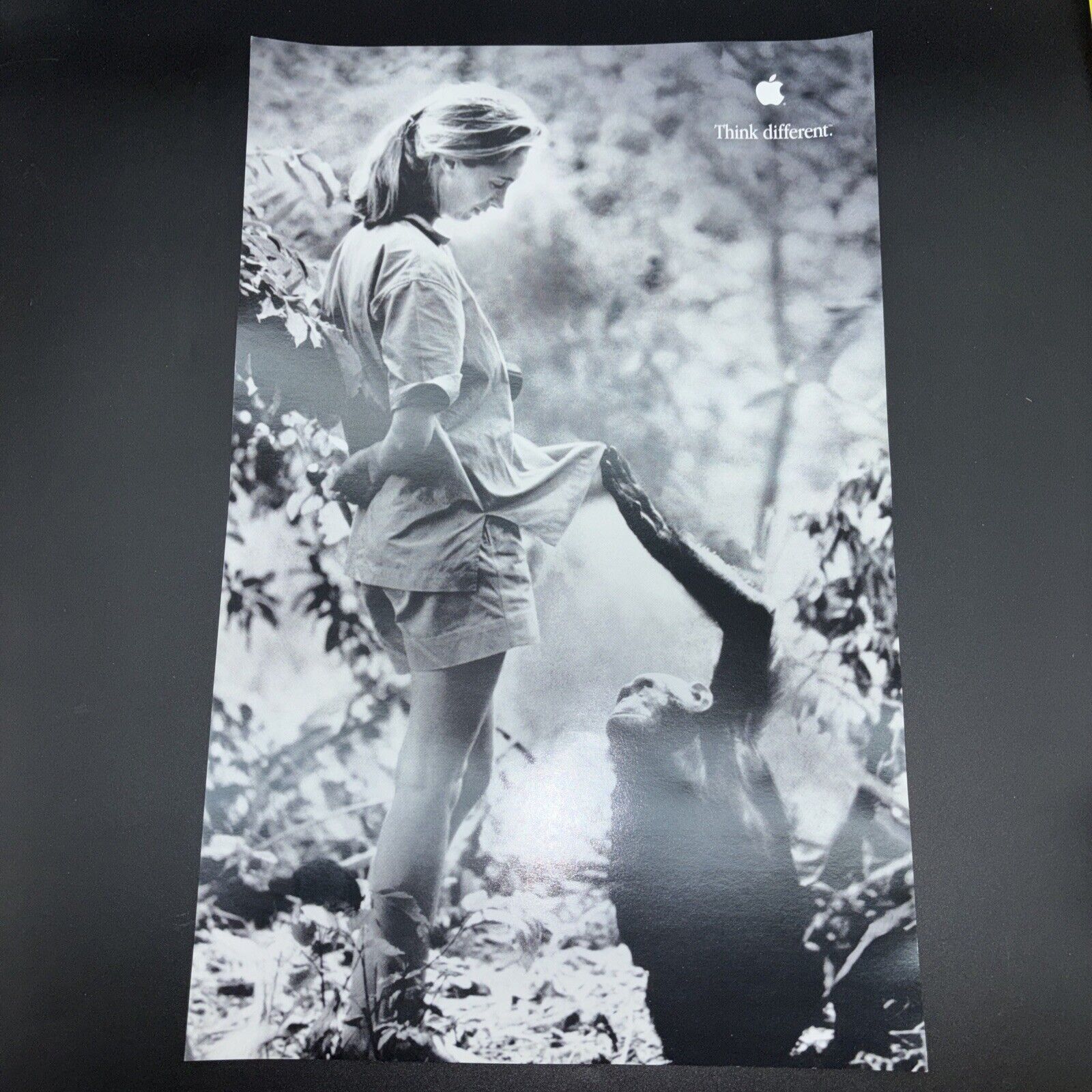Apple Think Different Jane Goodall Poster 11”x17” Chimpanzee, ￼ Great Condition