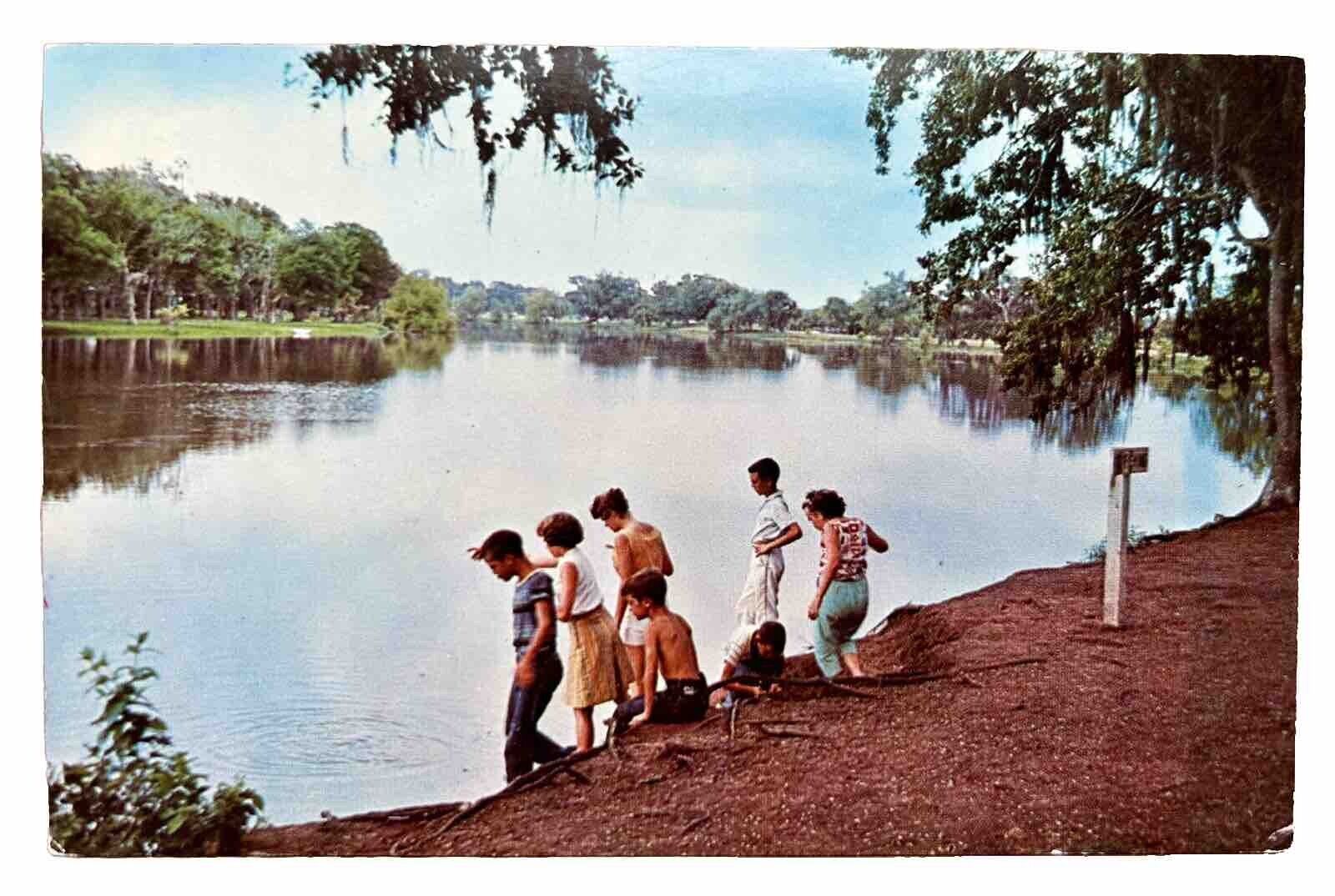A Scene at Lake Jackson, Texas. Vintage Postcard