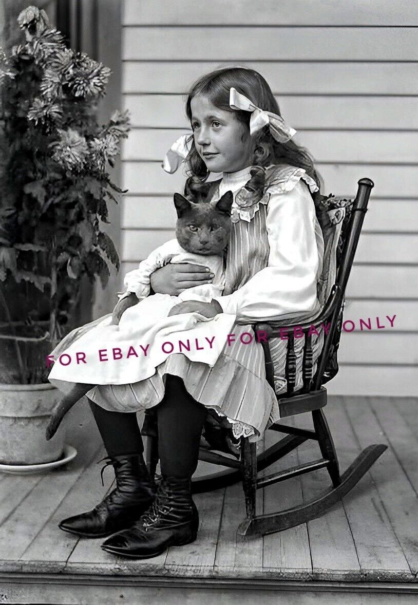 Vintage Photo reprint of Little Girl Holding Grey Kitten Cat Wearing Dress