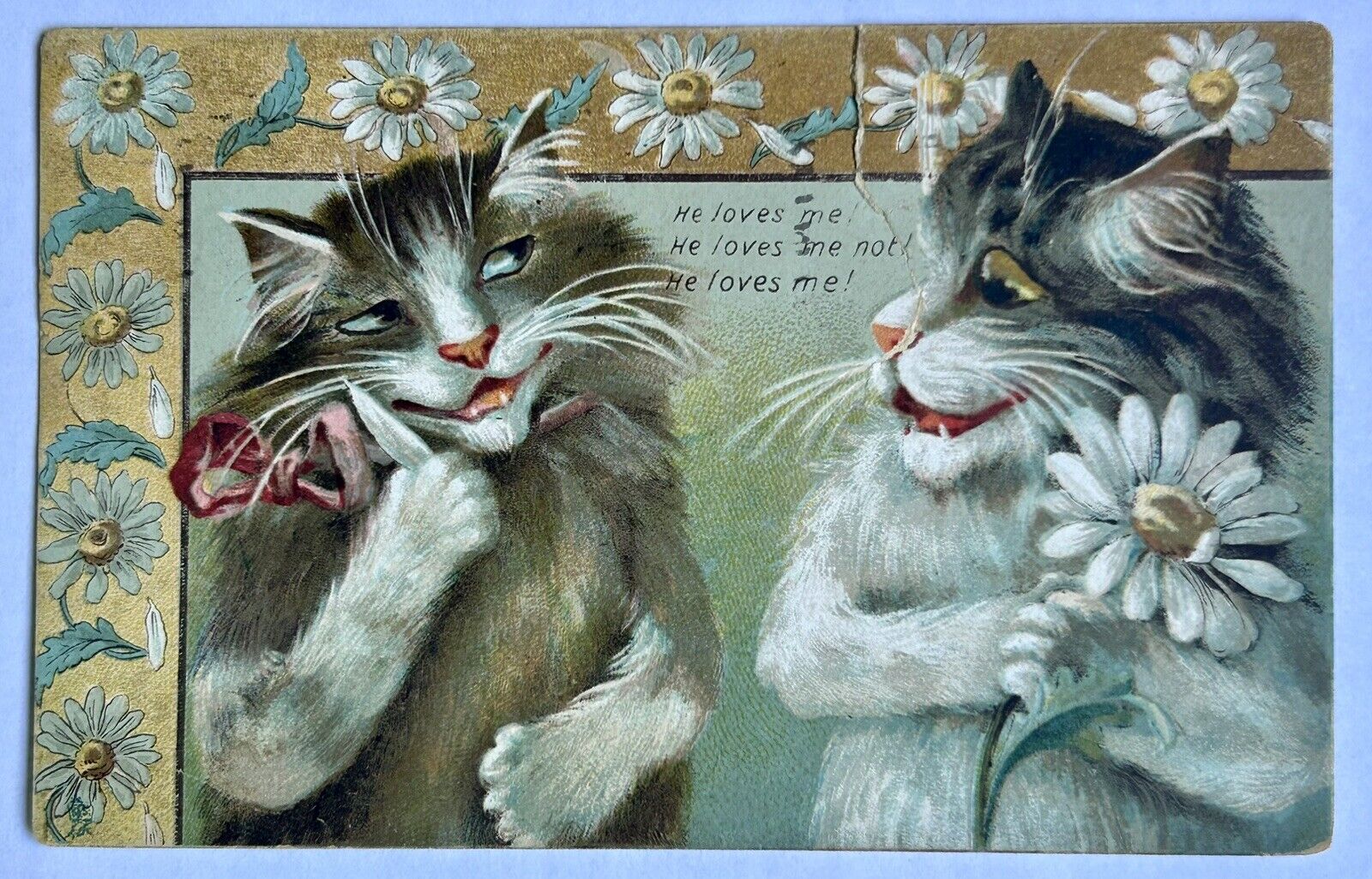 Cats In Love. Flowers. Vintage Cat Postcard