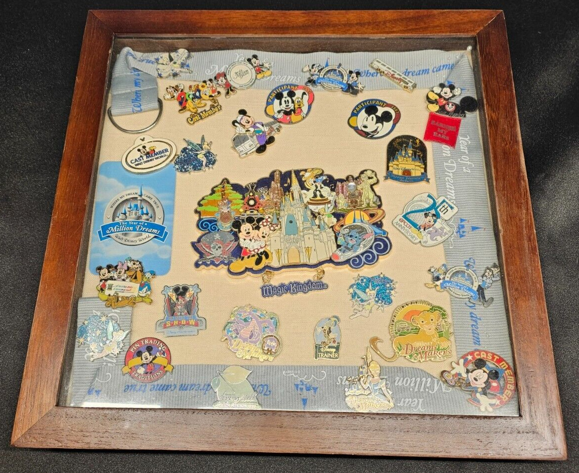 Disney Cast Member Built Career 25 Pin Collection in Shadow Box - One of a Kind
