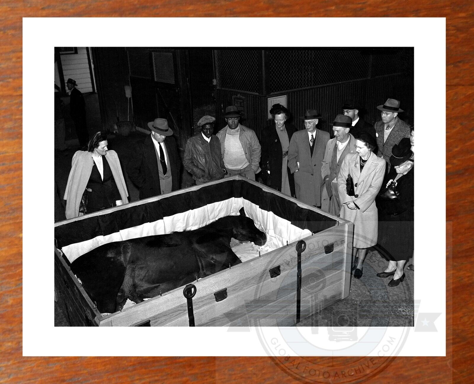 MAN O\' WAR Racehorse  DEAD in CASKET 1947 Funeral PHOTO Belmont, Saratoga, 8x10