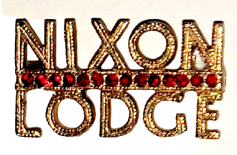 60\'s Nixon/Lodge President Campagn Political Pin Brass/Jewels, 1 Round NIXON PIN