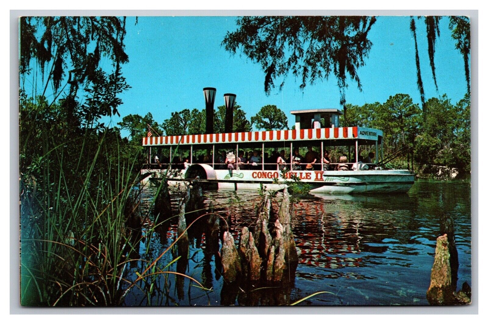 Weeki Wachee FL Florida River Congo Belle Adventure Cruise Boat Chrome Postcard