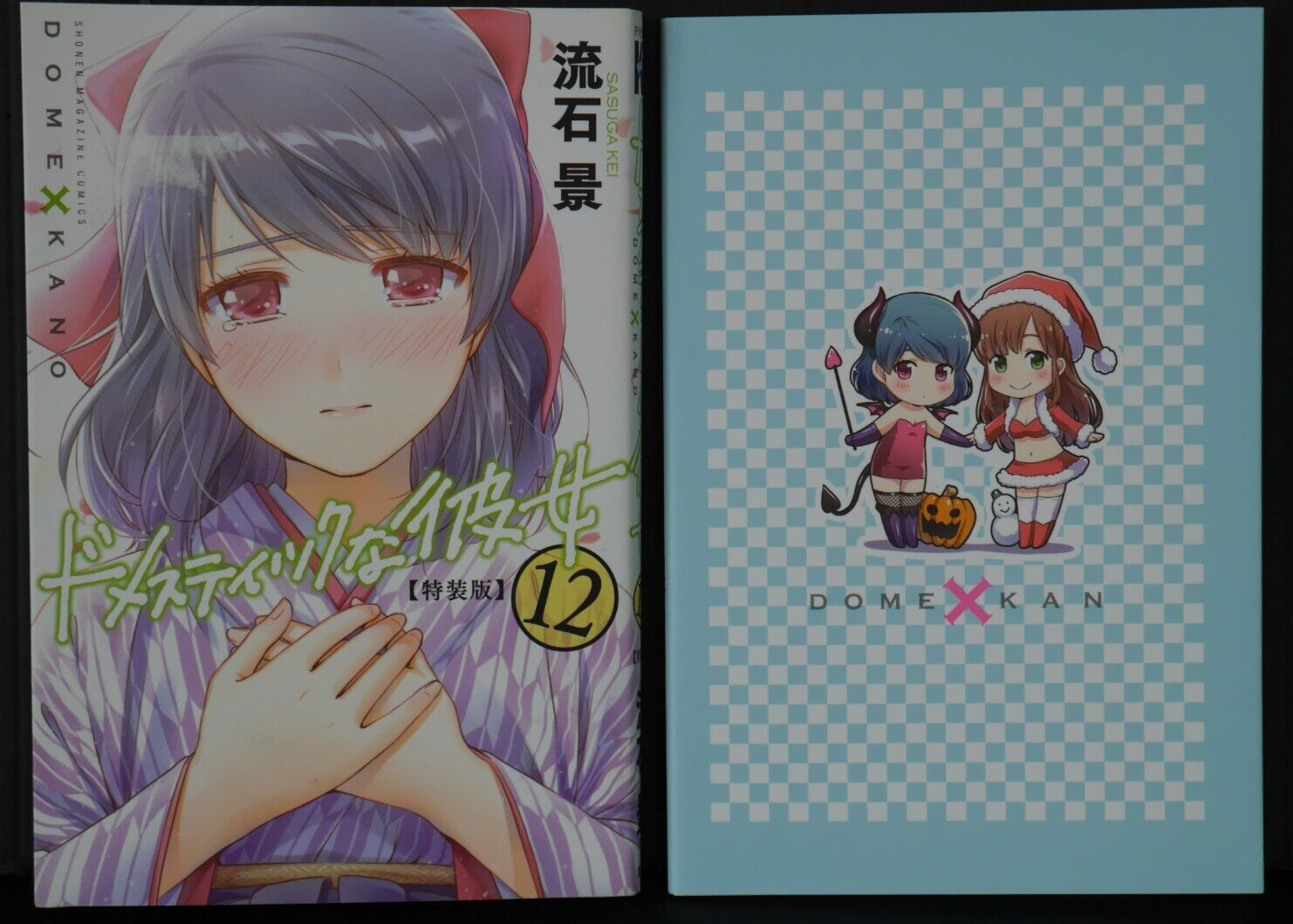 Domestic Girlfriend Vol.12 Special Manga Edition by Kei Sasuga - JAPAN
