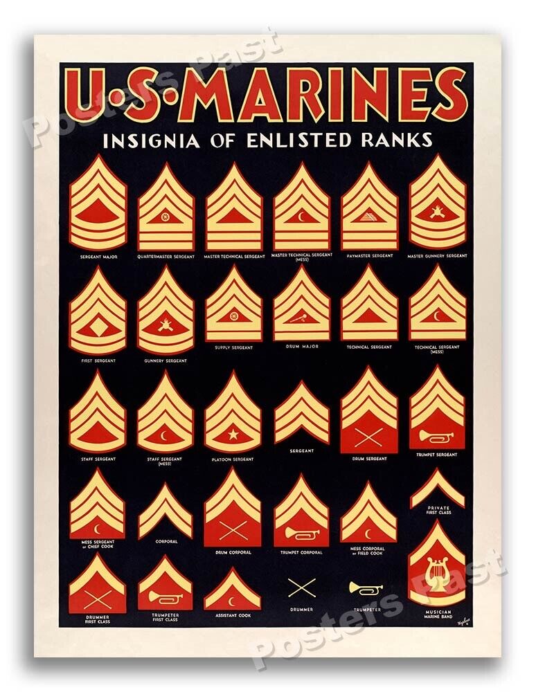 “US Marines Insignia of Enlisted Ranks” 1940\'s World War 2 Poster - 24x32