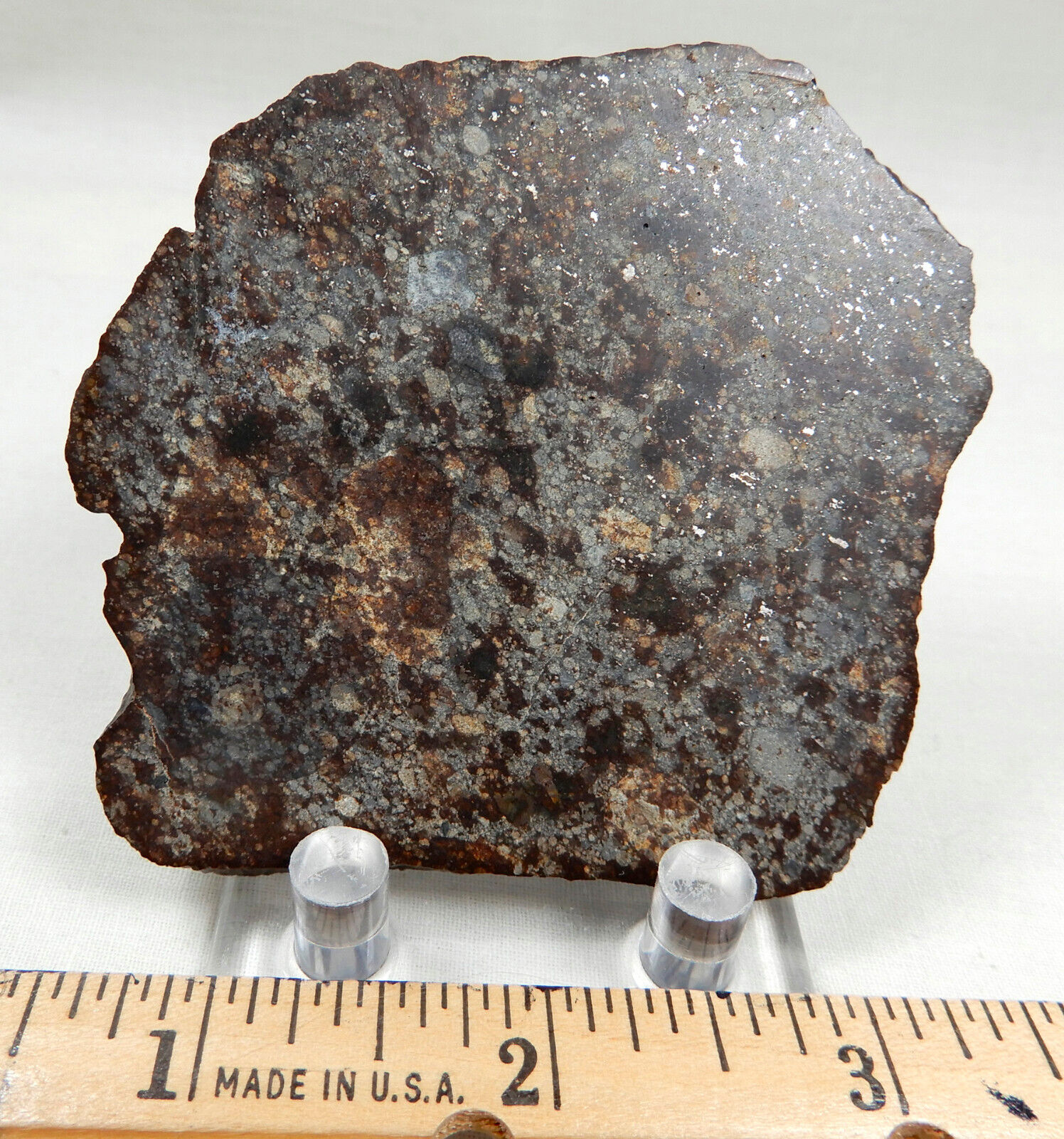 NWA 869 stony meteorite, 86 gram cut and polished slice