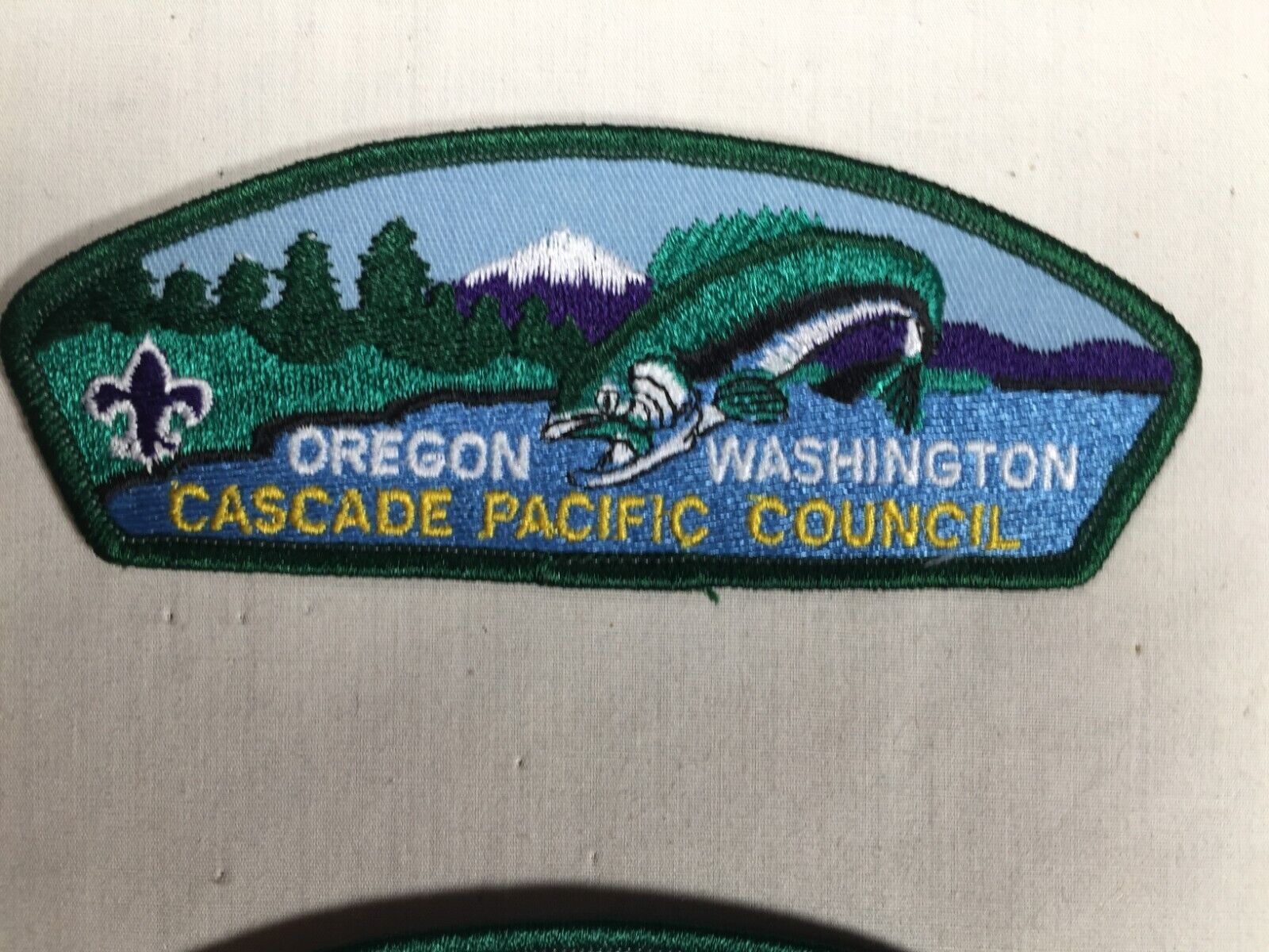 Cascade Pacific Council plastic back BSA CSP Patch