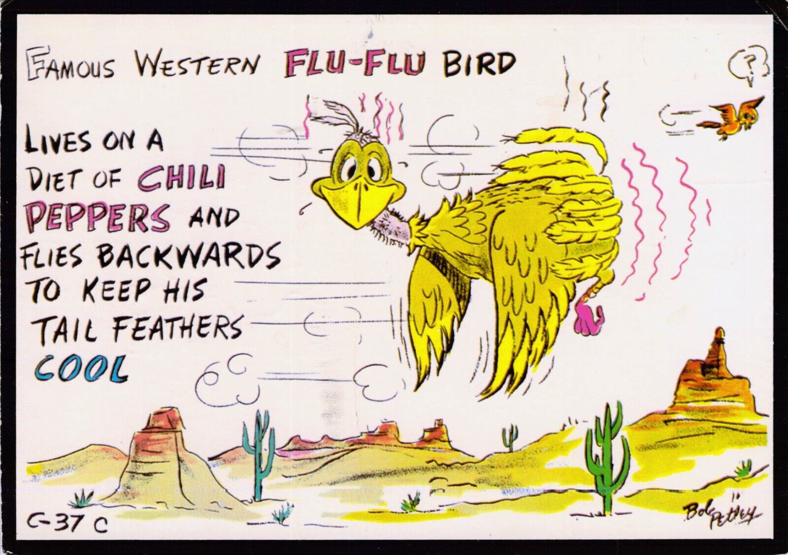 VTG Postcard Comic-Flu Flu Bird, Artist Signed Bob Petley, Posted  M3