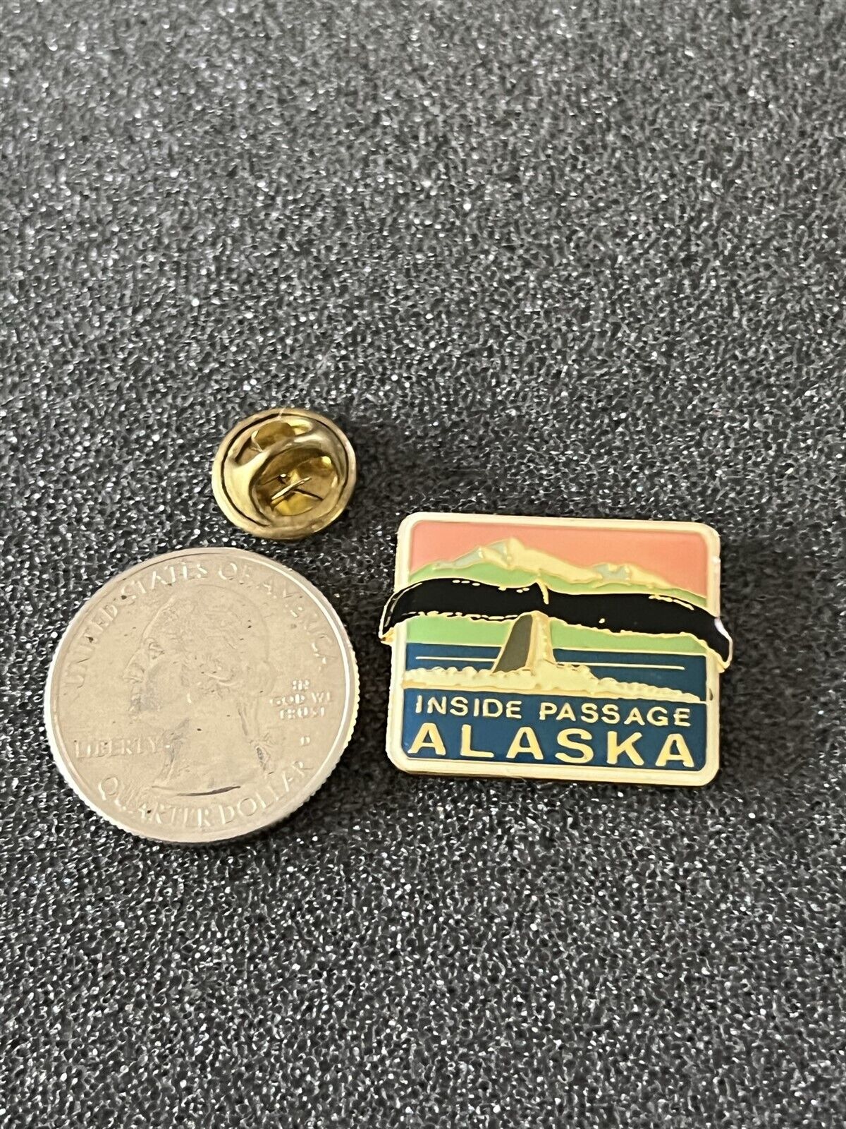 Inside Passage Alaska Whale Fin Souvenir Pin Pinback #43590