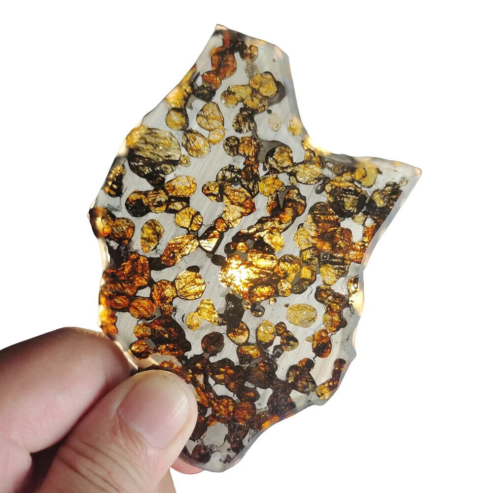 43.4G Seymchan pallasite Meteorite slice - from Russian QA260