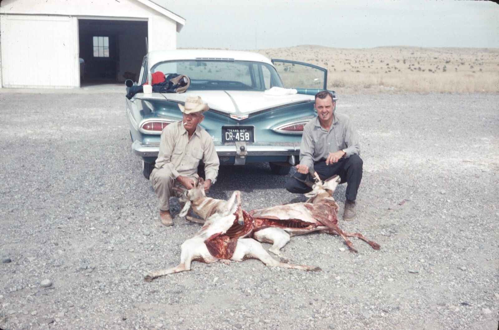 Men Kneeling with Dead Antelope Hunting Trip Marfa Texas 1960 Vintage 35mm Slide