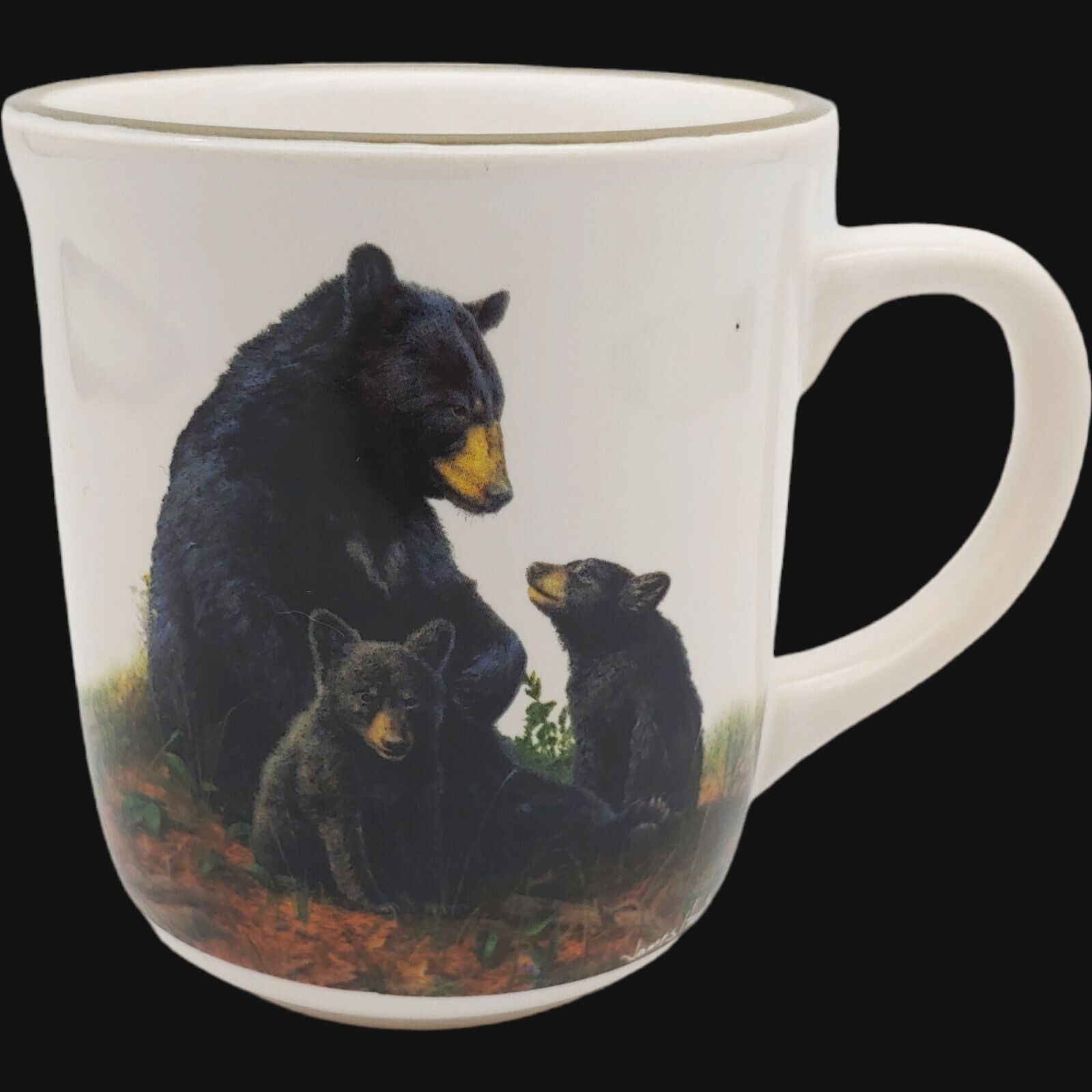 Cabela\'s Black Bear Family Coffee Mug, 10oz Mama Bear Cub Mom Baby Wild Animal
