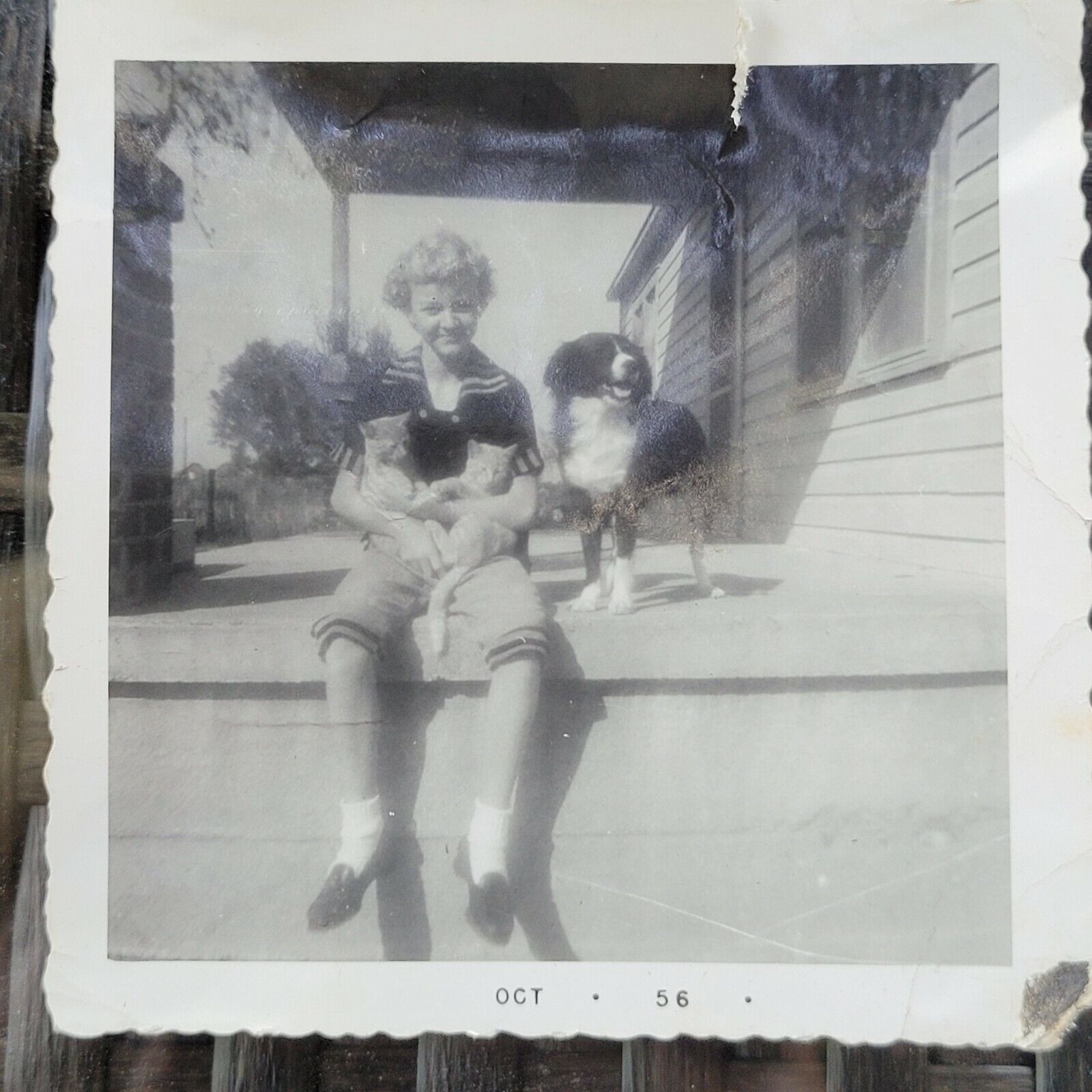 Vintage found photo snapshot 1956 young girl sits on porch with cats and dog b&w