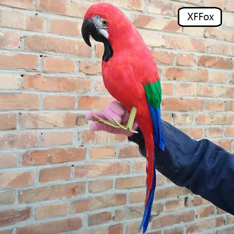 big simulation parrot model foam&feather red parrot bird gift about 60cm